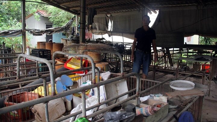 Trang trại của anh Phạm Văn Hùng bỏ trống từ vài tháng nay