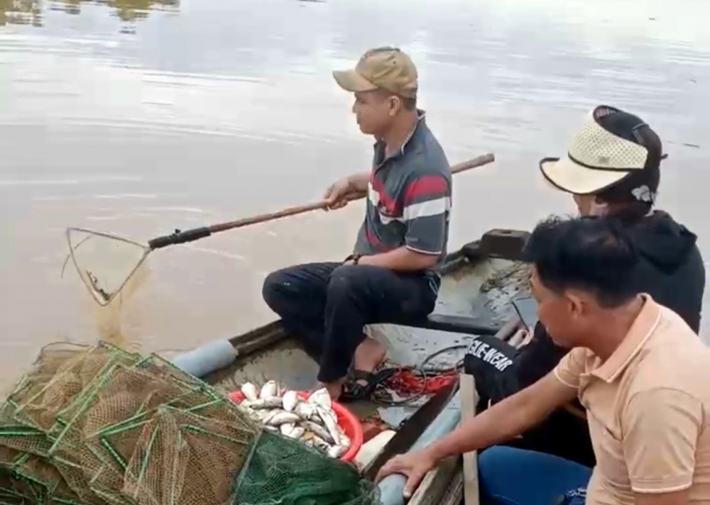 Người dân vớt cá chết dọc sông Sa Lung