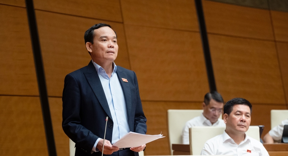 Phó Thủ tướng Chính phủ Trần Lưu Quang phát biểu