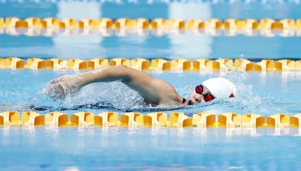 Swimmer Vi Thi Hang (Source: tuoitre.vn)