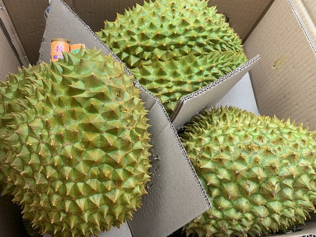 Xuất khẩu sầu riêng qua cửa khẩu Lào Cai tăng mạnh (Ảnh minh họa: KT)