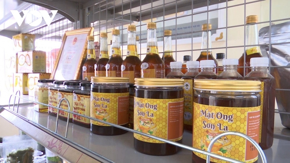 Mật ong Sơn La được thị trường ưa chuộng