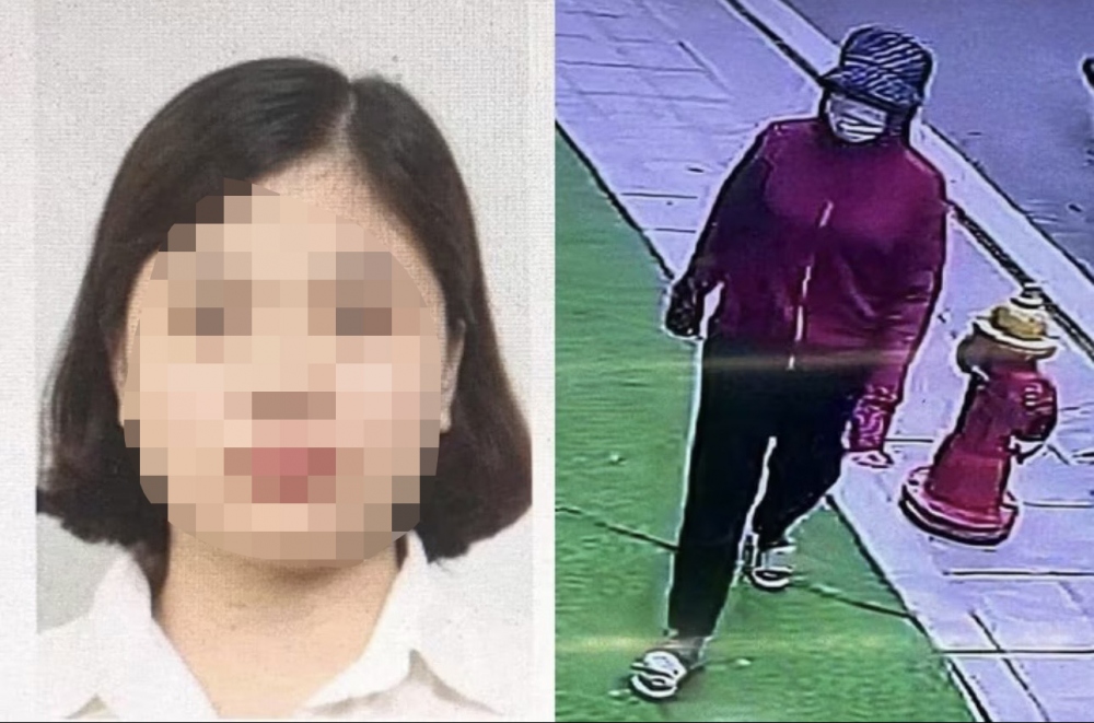 Giáp Thị Huyền Trang và hình ảnh trích xuất camera khi bắt cóc bé gái 2 tuổi ở huyện Gia Lâm, Hà Nội.
