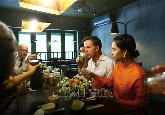 The Dutch PM attentively listens to an introduction to tea, a typical drink of Vietnamese people