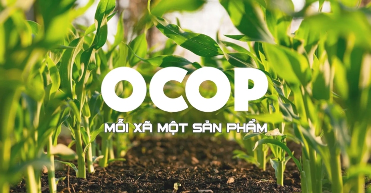 Sản phẩm OCOP dù chất lượng tốt nhưng vẫn gặp khó trong việc phân phối, tiếp thị (Ảnh: Báo Nhân Dân điện tử)
