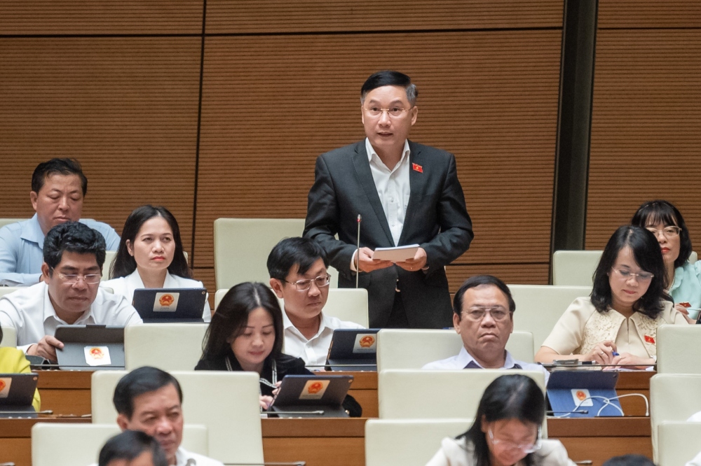 Đại biểu Lê Hoàng Anh