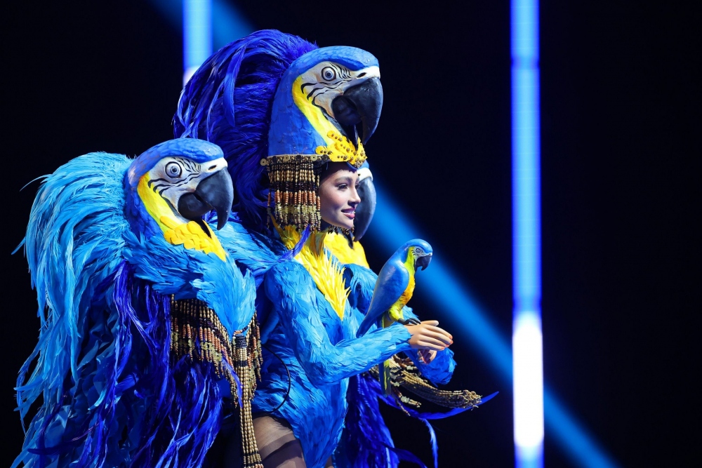 Hoa hậu Brazil mang tới Miss Universe bộ trang phục có ba con vẹt xanh trên vai để nhấn mạnh rằng đây là loài vật đang bị đe dọa.