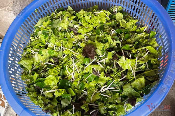 Thói quen ăn rau sống dễ dẫn tới nhiễm ký sinh trùng. Ảnh: Phương Anh