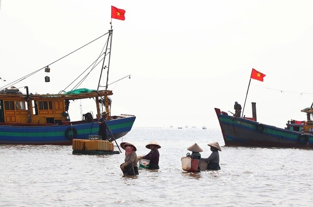 Thuyền vừa cập bến, nhiều thương lái lội nước để đón hàng, tranh mua từng mẻ cá, tôm tươi ngon nhất
