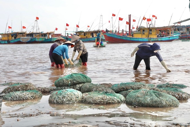 Mỗi ngày, chợ cá Giao Hải có 2 phiên, buổi sáng từ 5h - 7h, buổi chiều từ 12h - 15h. Hải sản tươi sống được phân phối tại Nam Định, Hà Nam, Thái Bình, Hà Nội…