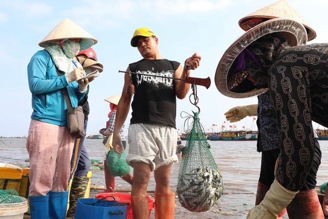 Chị Đặng Thị Loan (43 tuổi, xã Giao Xuân) một thương lái lâu năm tại chợ cho biết: “Bề bề loại 1 đang có giá 120.000 đồng/kg, loại 2 giá 90.000 đồng/kg, loại 3 chỉ 40.000 đồng/kg. Thời điểm hiện tại là bề bề thịt, không có trứng, đánh bắt được nhiều nên giá rẻ. Như những tháng trước bề bề trứng loại 1 bán 180.000 đồng/kg. Bề bề có trứng sẽ “mẩy”, ngon và nhiều chất dinh dưỡng hơn”