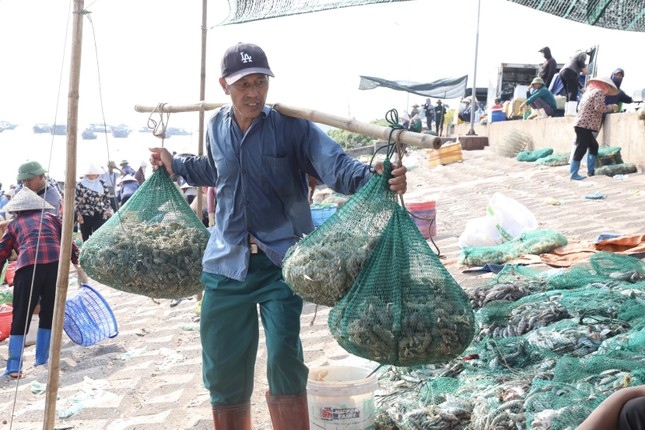 Chợ cá Giao Hải còn là nơi tạo việc làm cho nhiều lao động lớn tuổi. Tiền công gánh hàng lên đê từ 5.000 - 10.000 đồng/chuyến