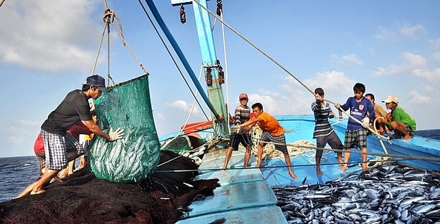 Tập trung thực hiện các nhiệm vụ, giải pháp chống khai thác hải sản bất hợp pháp (Ảnh minh họa: KT)