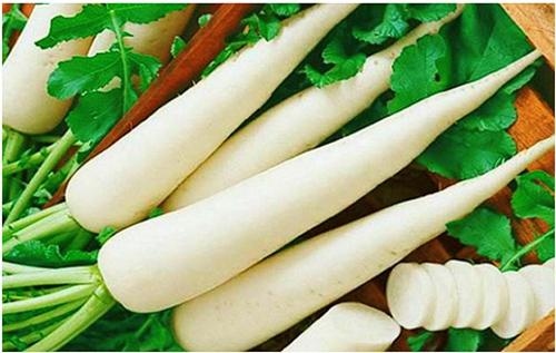 Củ cải rất tốt cho sức khỏe.