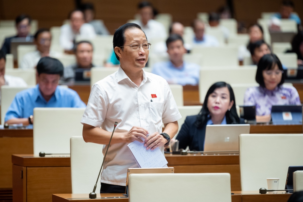 Đại biểu Nguyễn Trúc Sơn (Đoàn Bến Tre)