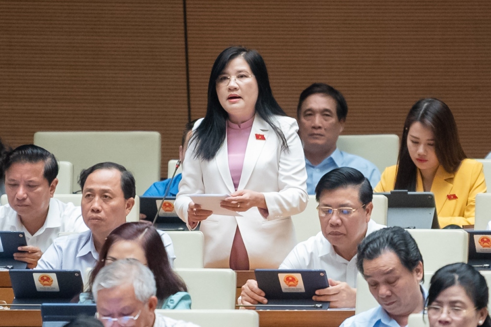 Đại biểu Đinh Thị Phương Lan (Đoàn ĐBQH tỉnh Quảng Ngãi)