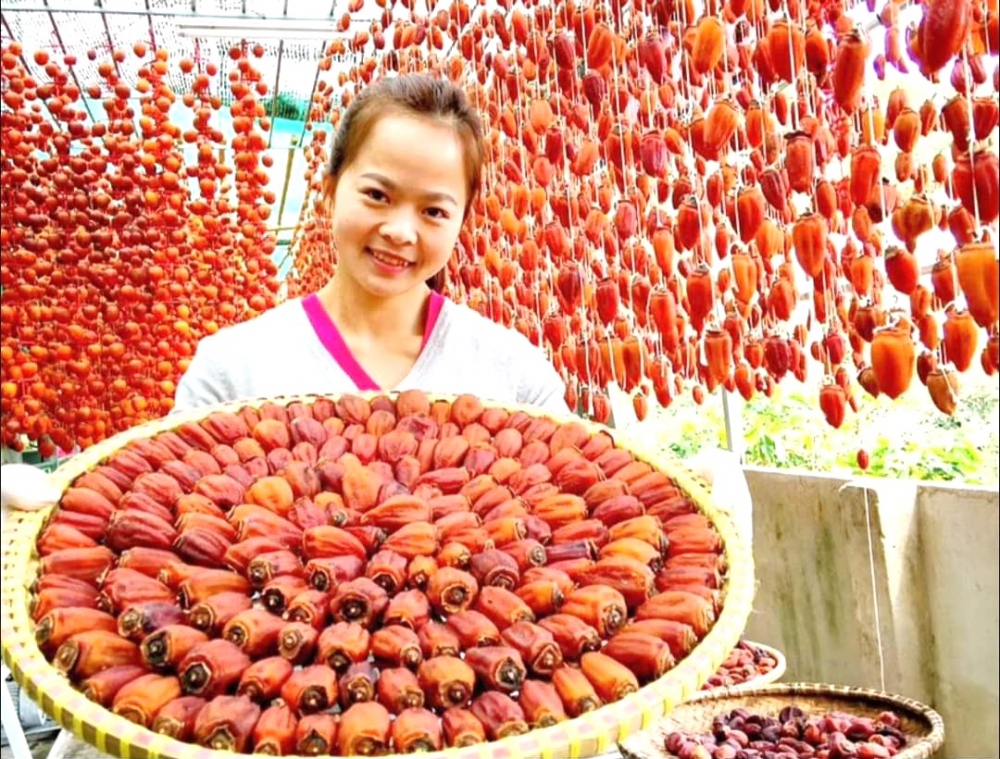 Hồng ăn quả và các sản phẩm từ quả hồng được sử dụng thương hiệu “Đà Lạt – Kết tinh kỳ diệu từ đất lành”