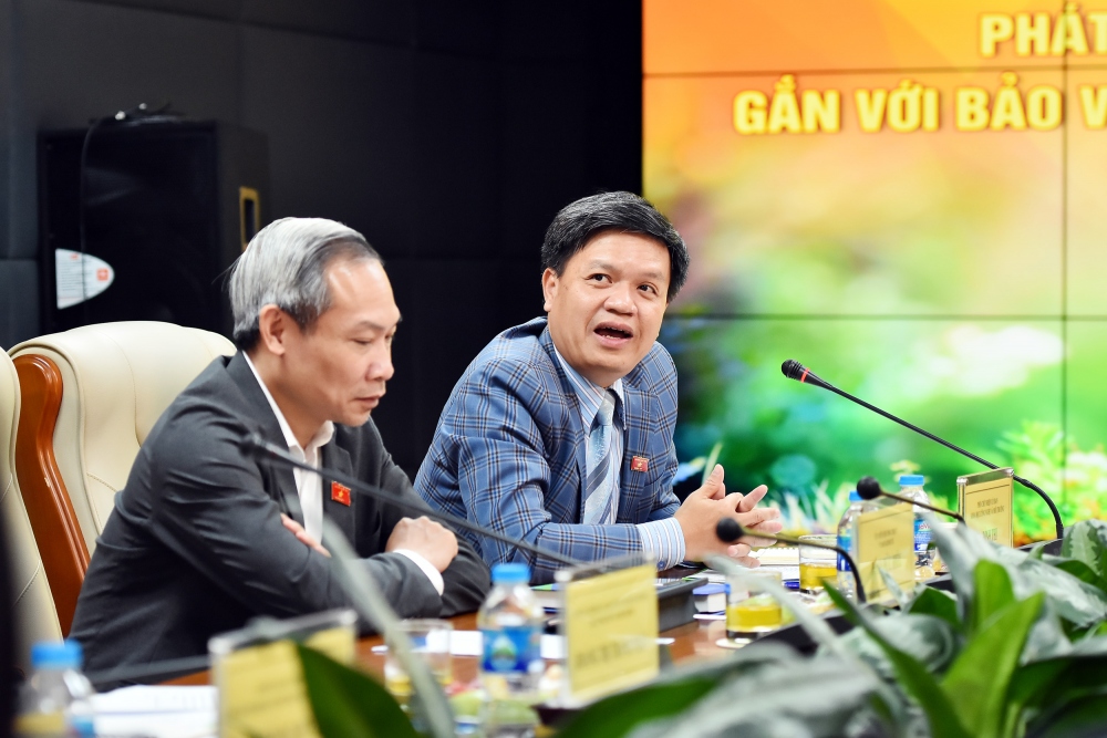 Phó Chủ nhiệm Ủy ban Khoa học Công nghệ và Môi trường Tạ Đình Thi phát biểu. Ảnh: Trần Hiệp