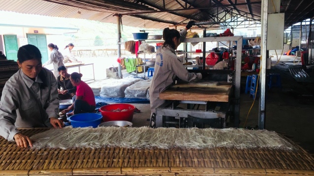 Công nhân Hợp tác xã Thành Sơn sản xuất miến đao - Ảnh: langngheviet