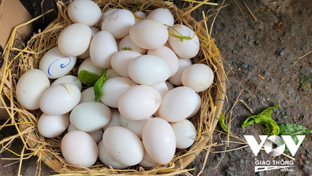 “Hôm có thị mang thị, hôm có hồng mang hồng, rồi mùa thu có cốm... . Được sống lại với ký ức của mình, ký ức mang theo sự biết ơn, trong rau trái mình ăn, mình thương hết sẩy... Đó không chỉ là tiền lời bao nhiêu mà giúp tiêu thụ sản vật đem lại niềm vui cho mọi người trong nhà..” - Chị Thuý nói về ý nghĩa của chợ quê giữa phố.