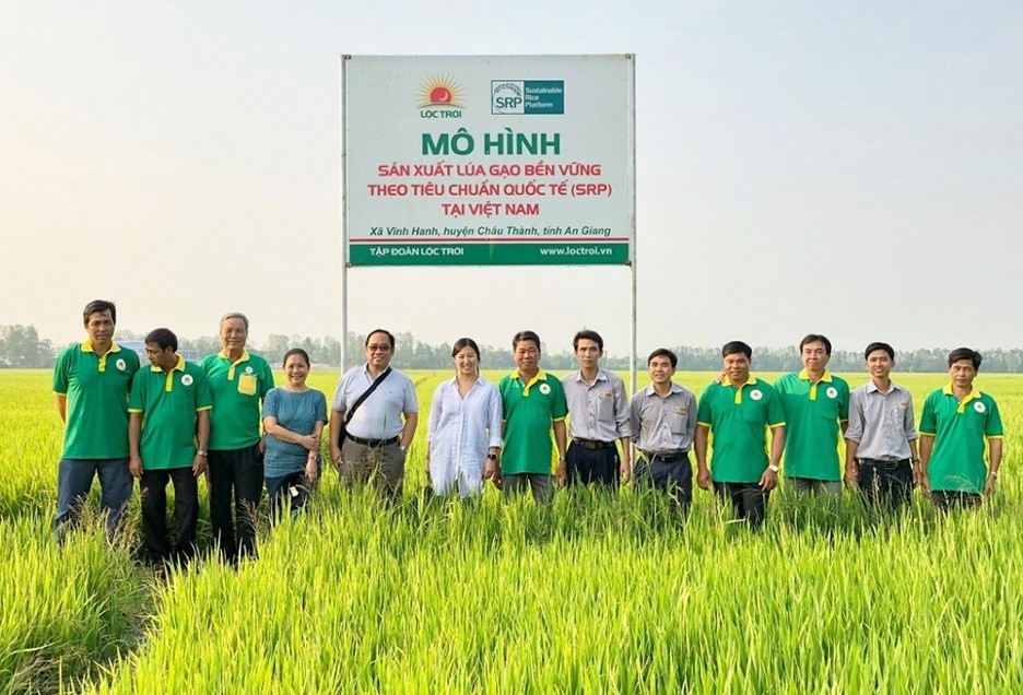 Mô hình sản xuất lúa gạo bền vững đáp ứng tiêu chuẩn quốc tế (SRP) của Tập đoàn Lộc Trời