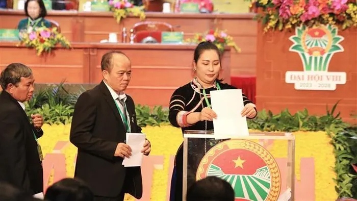 Các đại biểu bỏ phiếu bầu BCH Trung ương Hội Nông dân Việt Nam khóa VIII. Ảnh: TTXVN
