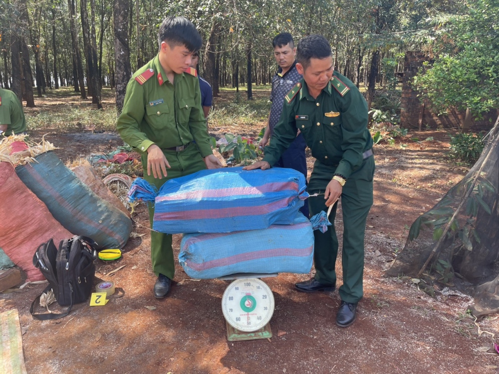 Lực lượng chức năng kiểm đếm pháo lậu