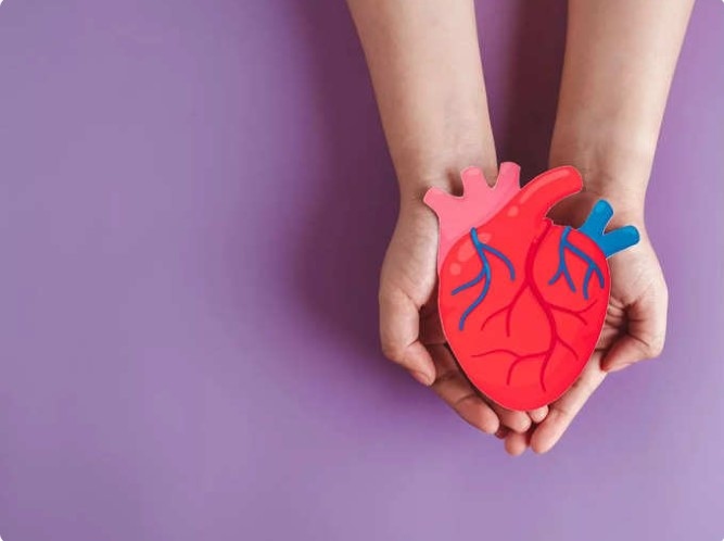 Có thể giảm tắc nghẽn động mạch? Theo chuyên gia, có thể ngăn ngừa cũng như đẩy lùi các bệnh tim mạch và tắc nghẽn bằng cách áp dụng một số biện pháp lành mạnh và bền vững, yêu cầu loại bỏ một số loại thực phẩm, tập thể dục và yoga. Ngoài ra, các chuyên gia sức khỏe còn gợi ý 5 loại thực phẩm phổ biến có tác dụng giảm tắc nghẽn động mạch. Đây là tất cả những gì bạn cần làm theo để đẩy lùi bệnh tim.