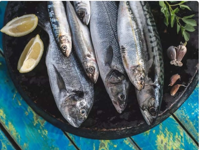 Cá béo: Các loại cá béo như cá hồi, cá thu và cá hồi rất giàu axit béo omega-3. Omega-3 có đặc tính chống viêm và có thể giúp giảm đau khớp và cứng khớp. Những axit béo này rất cần thiết cho sức khỏe khớp và góp phần mang lại sức khỏe tổng thể.