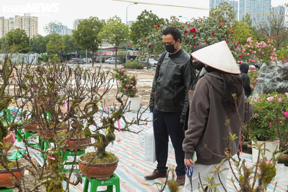 Dù có giá rất cao nhưng nhất chi mai đang vô cùng hút người mua.