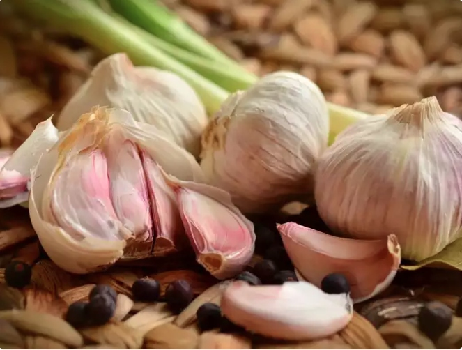 Tăng cường khả năng miễn dịch: Tỏi nổi tiếng với đặc tính tăng cường miễn dịch, do đó nó chính là thảo mộc quý giá trong mùa lạnh. Chứa allicin, một hợp chất chứa lưu huỳnh, tỏi có đặc tính kháng khuẩn, do đó thực phẩm này giúp tăng cường hệ thống miễn dịch, mang lại khả năng phòng vệ tự nhiên chống lại các bệnh mùa đông.