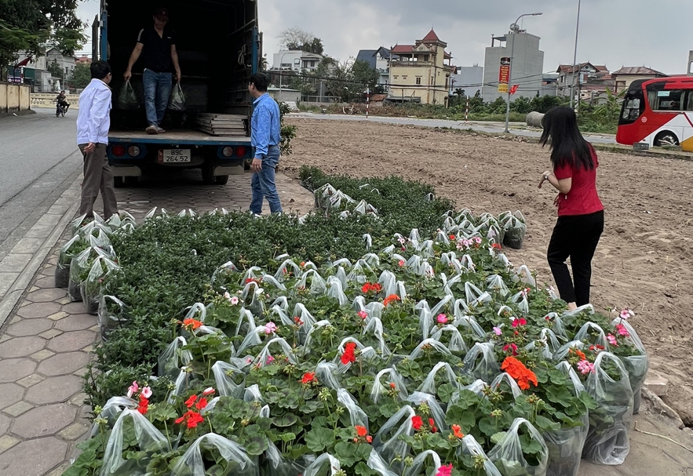 Các cô giáo đến tận ruộng mua hoa để có giá rẻ, giảm chi phí.