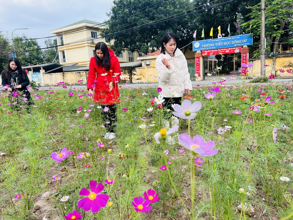 Vườn hoa mùa xuân tươi đẹp trước cổng trường học xuất hiện ở nơi mà cách đây hai năm, là một bãi đất trống, cỏ dại mọc ngập lên, nhiều người mang rác ra đổ.