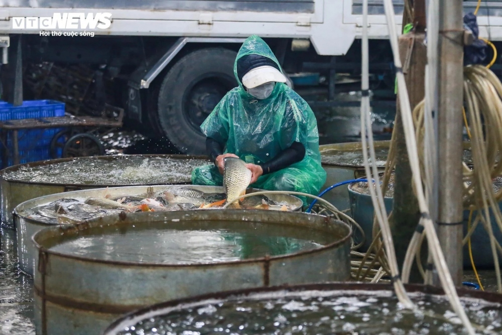 Whilst the whole city is sleeping the fish market is at its busiest time, even in rain and cold weather.