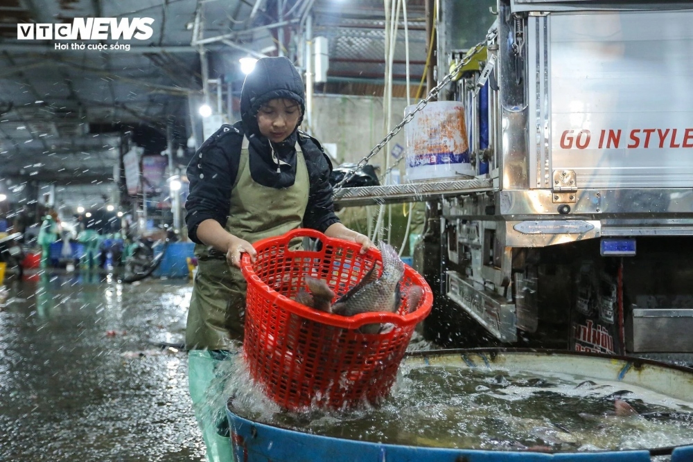 Fish sold at the market comes from the northern provinces of Hung Yen, Hai Duong, and Ha Nam.
