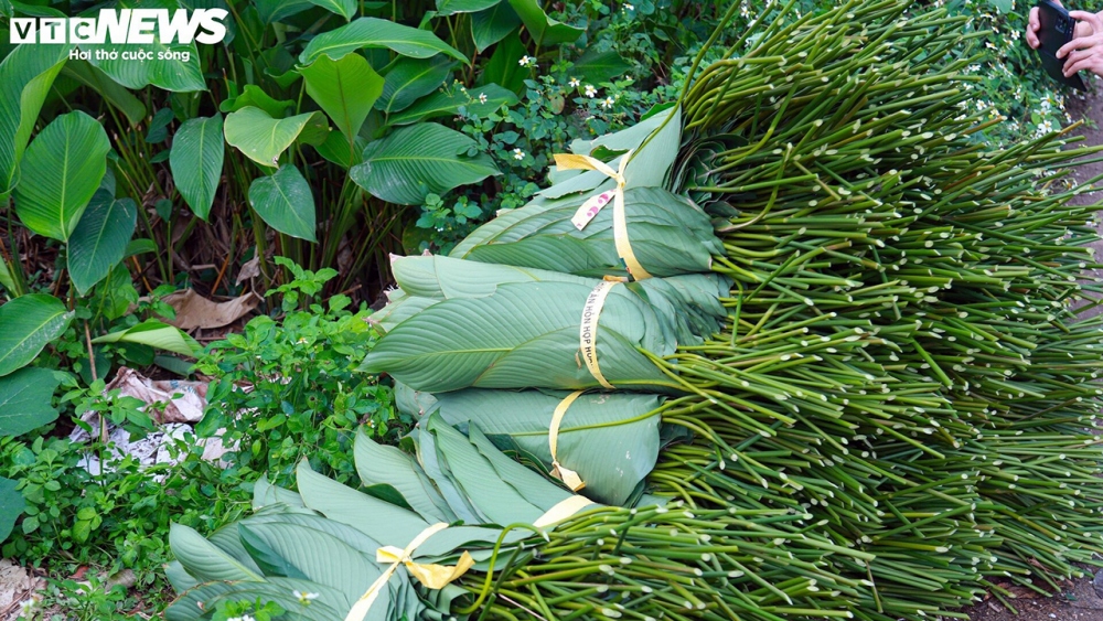 ... rồi đem đi rửa
