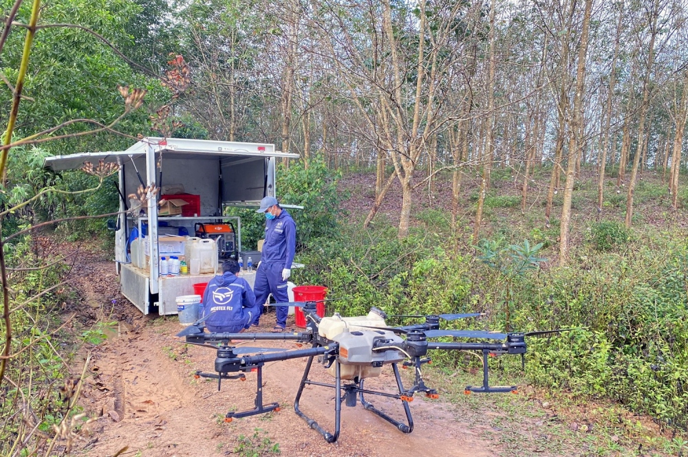 Dùng thiết bị bay không người lái để phun thuốc phòng trừ bệnh trên cây cao su