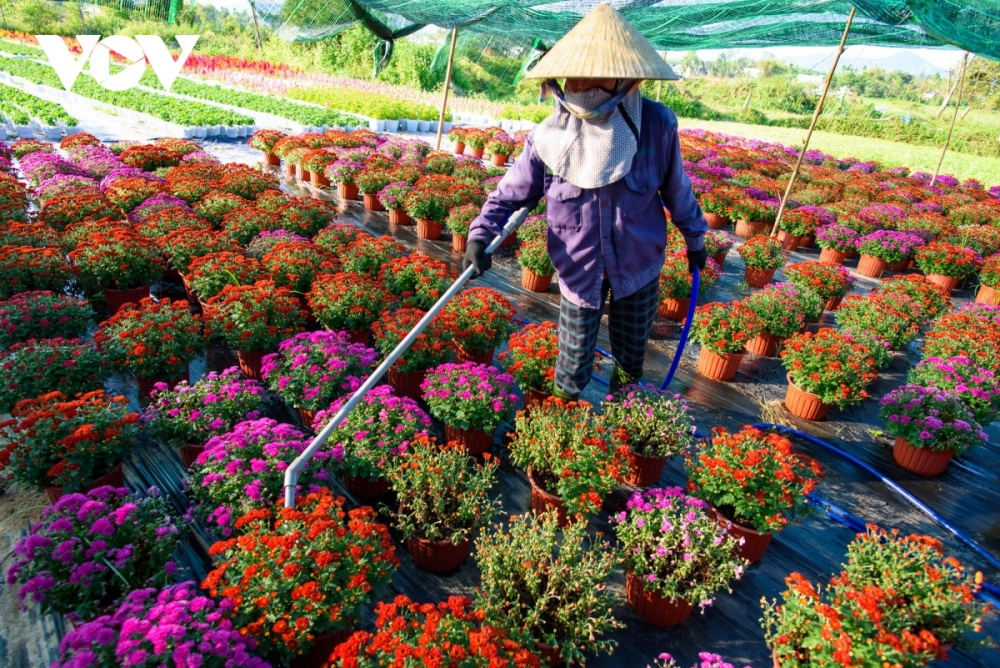 The village provides customers with a wide range of selection from reasonably priced flower pots.
