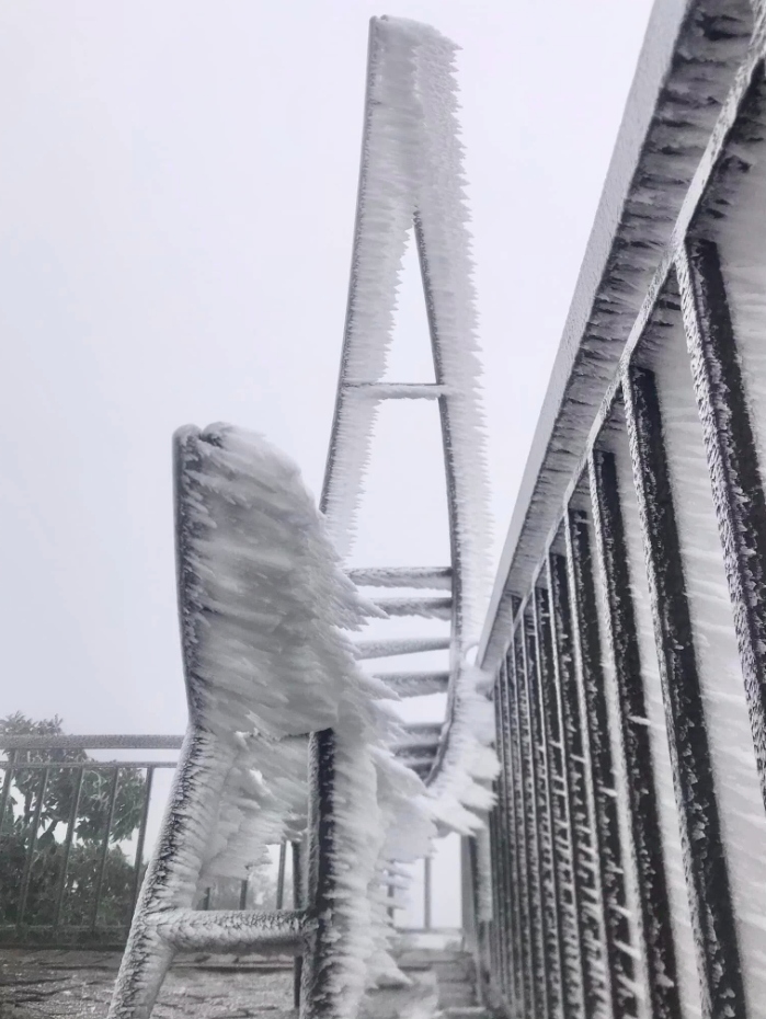 Data from the National Centre for Hydro-Meteorological Forecasting shows that the temperature on the mountain on the morning of January 24 dropped to minus 2.9 degrees Celsius.