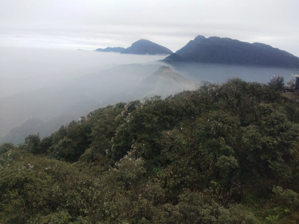 In Phia Oac mountainous area in Cao Bang province, frost also appears before it gradually melts on January 25.