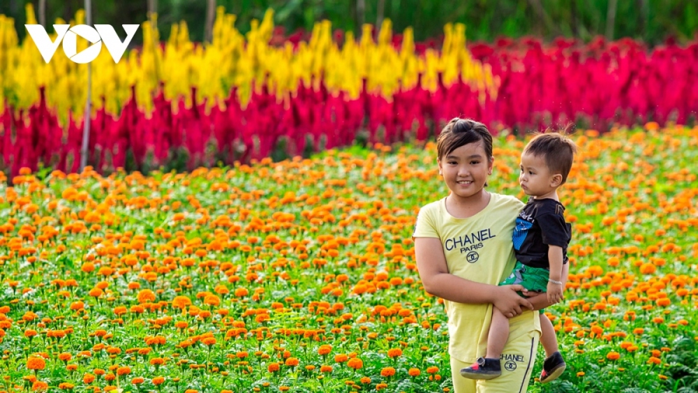 Tan Ba is the only flower village in Binh Duong. Therefore, in the days leading up to Tet, many tourists from all over choose to come to visit to snap selfie photos.