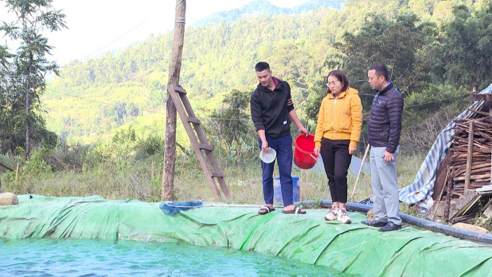 Anh Phàn A Páo (ngoài cùng bên trái) đang cho cá ăn - Ảnh: tamduong.laichau.gov.vn