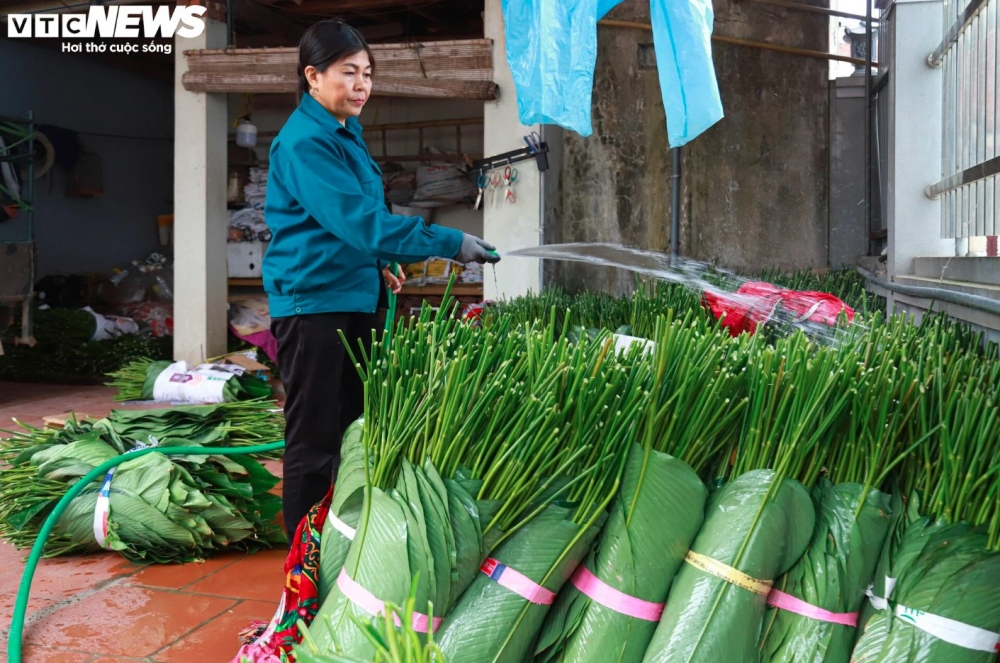 The leaves can be purchased to wrap traditional cakes, including Banh Day (round cake made of sticky rice flour) and Chung cake (glutinous square rice cake), on special occasions.
