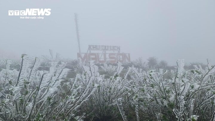 Data from the National Centre for Hydro-Meteorological Forecasting shows that the temperature on the mountain at 6 a.m. on January 23 drops to minus 1.1 degrees Celsius.