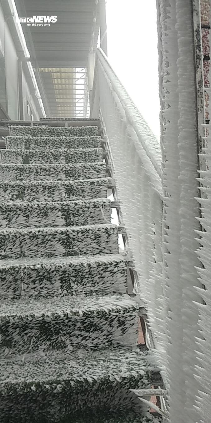 The chilly weather conditions have caused thick frost to blanket high mountains such as Phia Oac in Cao Bang province and Mau Son in Lang Son province.