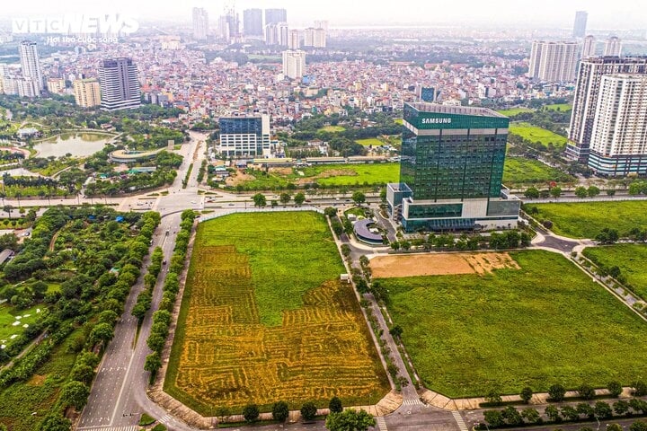 Luật Đất đai sửa đổi được dự báo sẽ có tác động tích cực đến thị trường bất động sản.