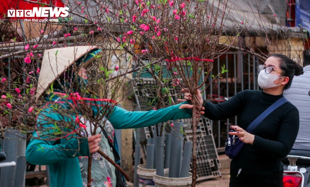 Peach blossoms can be found in full swing in the village, signaling the arrival of spring.