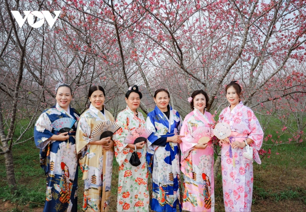 As usual, visitors to the festival will have the chance to explore a Japanese tea ceremony, Japanese rice wine Sake, and Mong Pe, an aromatic wine of Vietnam’s northwestern region distilled from maize fermented with special forest leaves. Participants will also have the opportunity to try on Japanese costumes and explore the culture of the Far East nation.