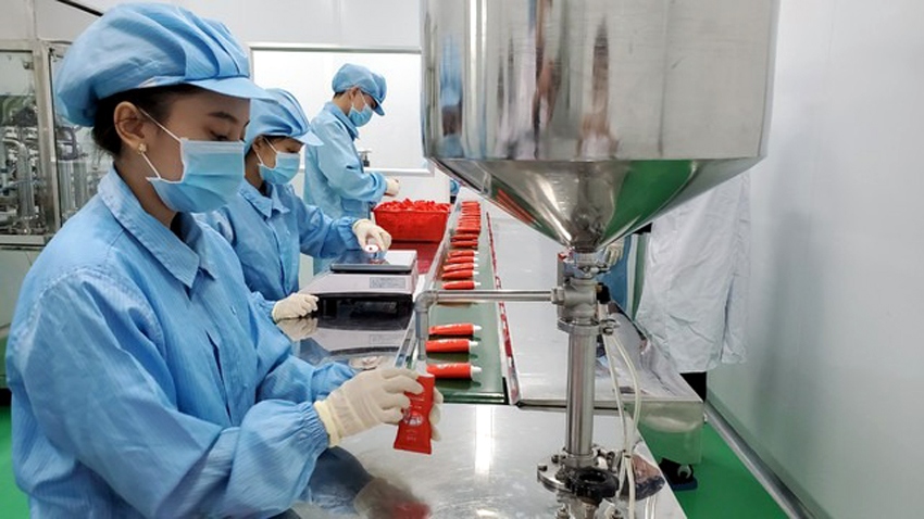 Tháng 1/2024 có số doanh nghiệp thành lập mới tăng đến gần 25% so với cùng kỳ năm ngoái