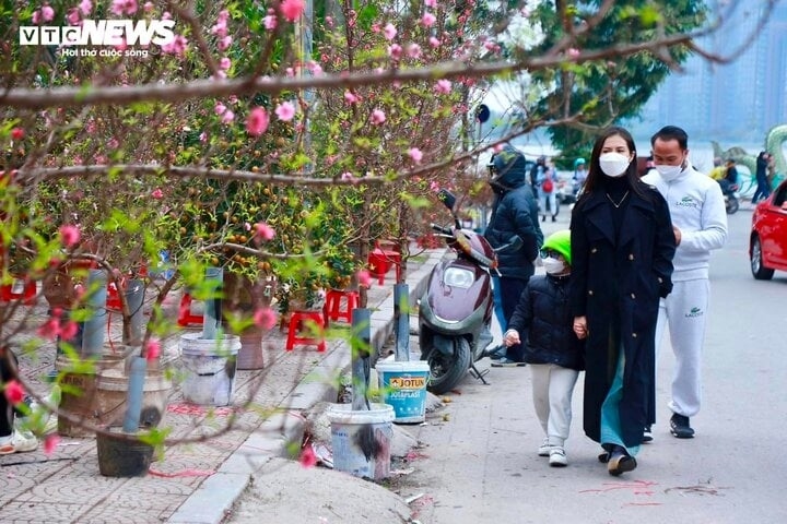 Miền Bắc khả năng đón không khí lạnh trong dịp Tết Nguyên đán Giáp Thìn 2024. (Ảnh: Ngô Nhung)